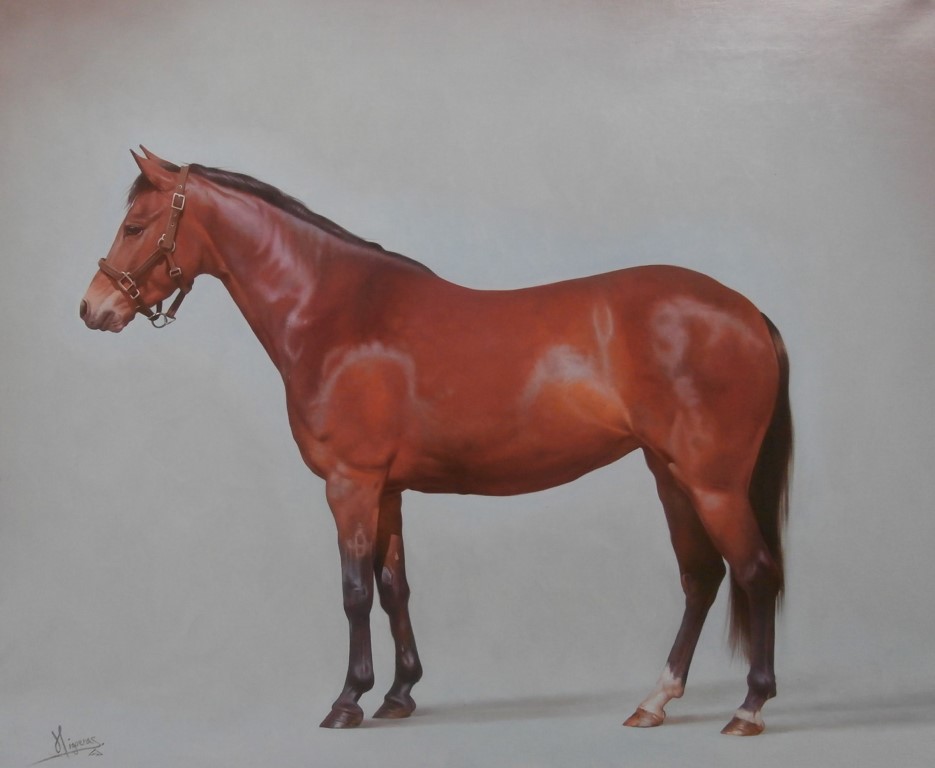 Brown Horse left facing