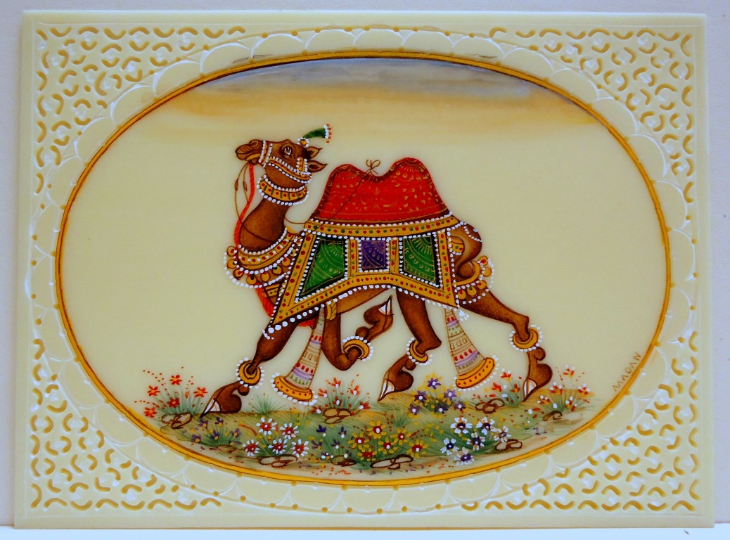 Camel with red