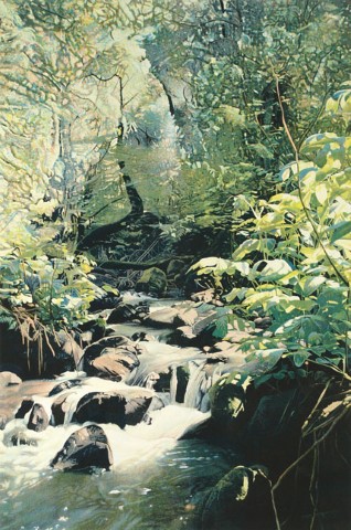 Cavedale Creek
                  1980